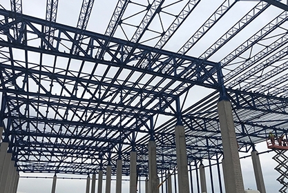 Diversity in Steel Structures